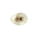 BABY CORAL