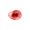 BABY CORAL