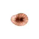 BABY CORAL