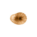 BABY CORAL