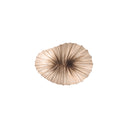 BABY CORAL