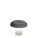AMANITA