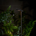 BIRDIE-Bollard