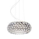 CABOCHE PLUS