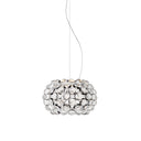 CABOCHE PLUS