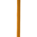 ELASTICA