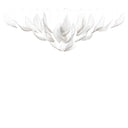 FLUX CELESTIAL L
