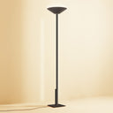 FLY TORCH