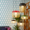 BAMBOO LIGHT