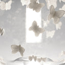FREEZE FRAME BUTTERFLIES