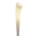 HORN