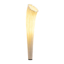 HORN