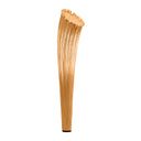 HORN
