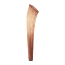 HORN