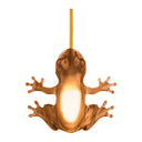 HUNGRY FROG