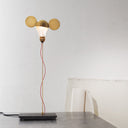 I RICCHI POVERI TOTO