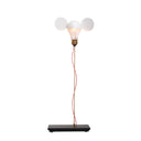 I RICCHI POVERI TOTO