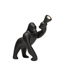KONG XS