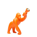 KONG XS