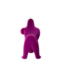 KONG XS VELVET
