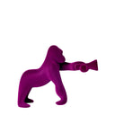 KONG XS VELVET