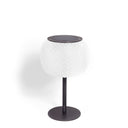 LOLIE LARGE