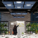 LIGHT SHED 60