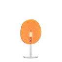 LOLLIPOP