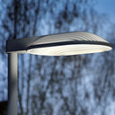 LP XPERI