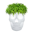 MEXICO PLANTER AND CHAMPAGNE COOLER LAMP-Lambader