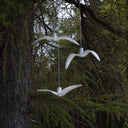 NIGHT BIRDS EXTERIOR