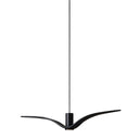 NIGHT BIRDS EXTERIOR