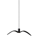 NIGHT BIRDS EXTERIOR