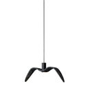 NIGHT BIRDS EXTERIOR