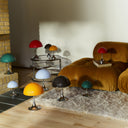 PANTHELLA 250 ORIGINALS