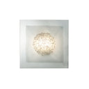 QUASARS MATTINO D'INVERNO