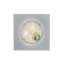 QUASARS NEVE DI PRIMAVERA