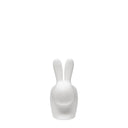 RABBIT XS-Lambader