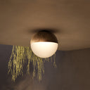 SFERA