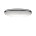 SILVERBACK CEILING