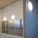 SILVERBACK CEILING