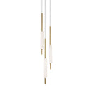 TYPHA 285.02