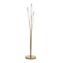 TYPHA 285.04