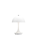 PANTHELLA 160